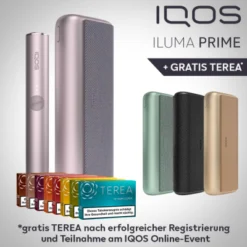Tabak Geschäft 7 IQOS Iluma Prime Bronze Taupe (bronze)